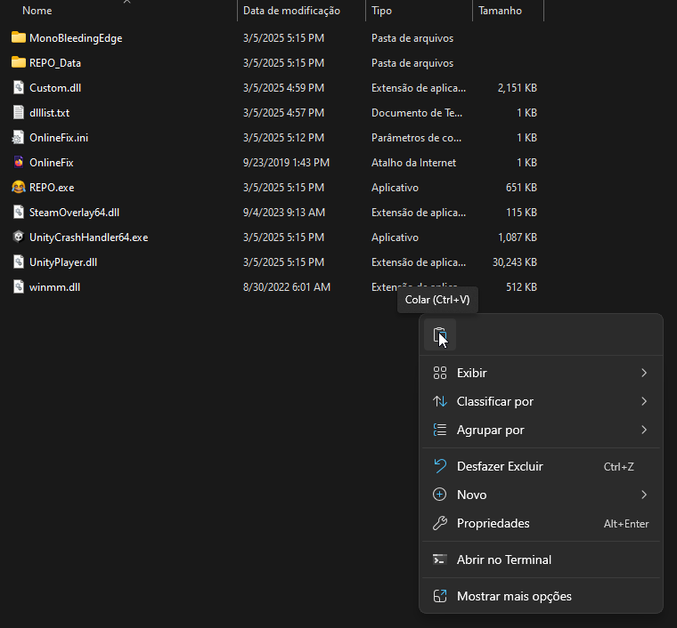 Colar arquivos Fix-Repair