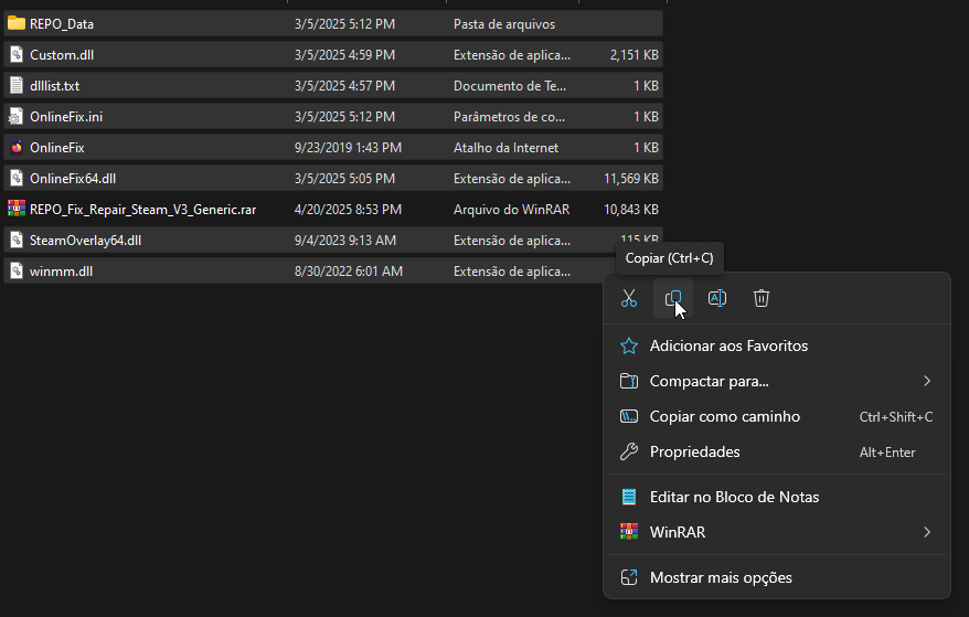 Copiar arquivos Fix-Repair