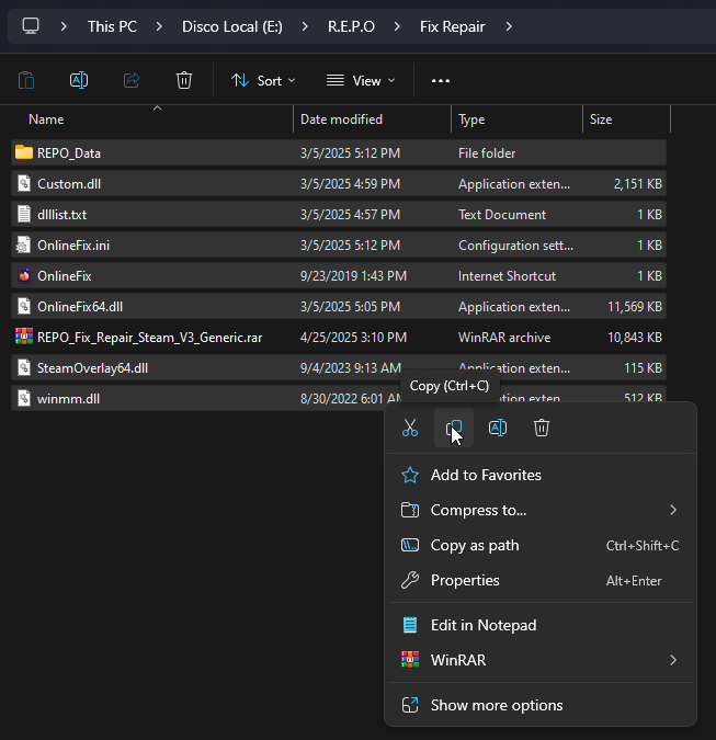 Copy Fix-Repair files