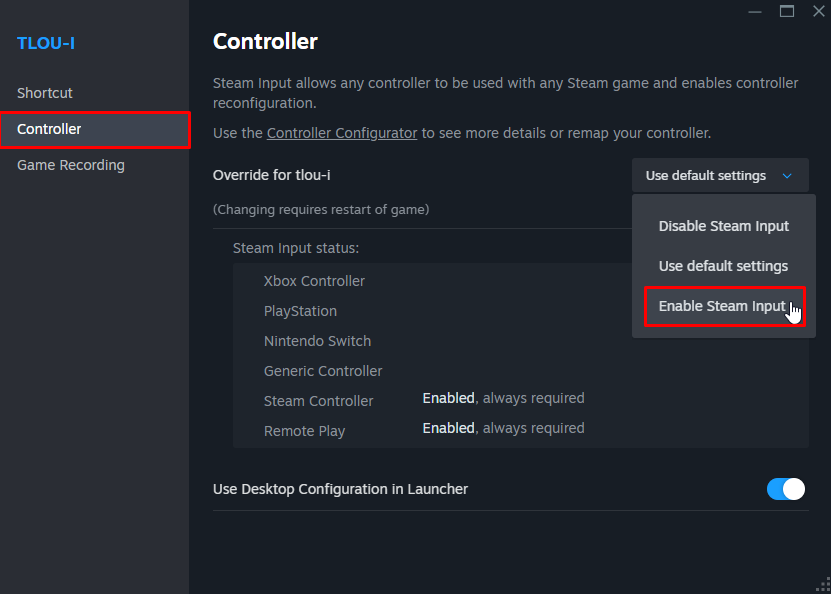 Enable Steam Input